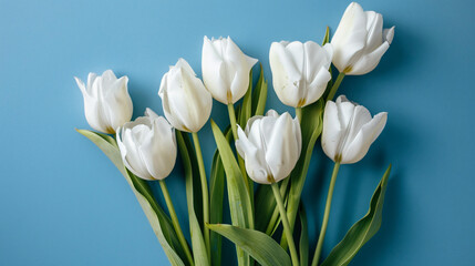 A bunch of white tulips on a blue background