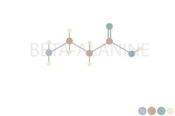 beta alanine molecular skeletal chemical formula