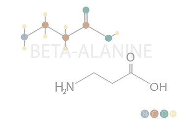 beta alanine molecular skeletal chemical formula