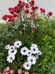 아름다운 봄의 꽃