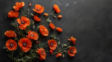 A sparse display of orange poppies stretching diagonally across the upper left corner of a matte black background, highlighting their vivid color with abundant negative space. - obrazy, fototapety, plakaty