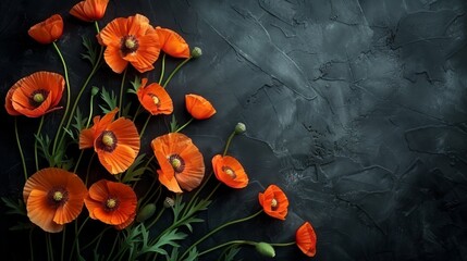 A sparse display of orange poppies stretching diagonally across the upper left corner of a matte black background, highlighting their vivid color with abundant negative space. - obrazy, fototapety, plakaty