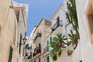 The charming, narrow lanes of old Eivissa town in Ibiza, where traditional white buildings meet the...