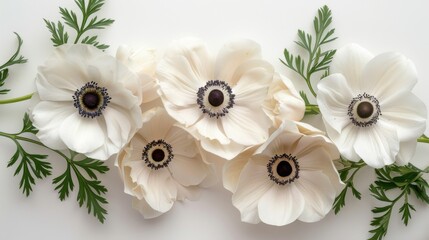 Small clusters of white anemones with a touch of greenery positioned at the upper right corner of a stark white background, creating a crisp and clean look with ample negative space - obrazy, fototapety, plakaty