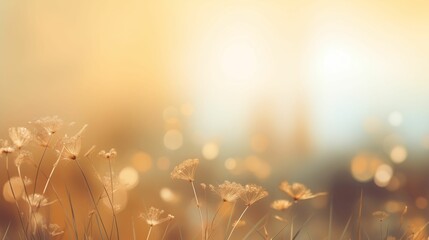 Sunset Whispers, Golden Hour Meadow, Soft Backlit Flora, Dreamy Nature Background