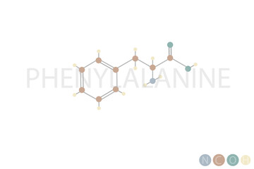 phenylalanine molecular skeletal chemical formula