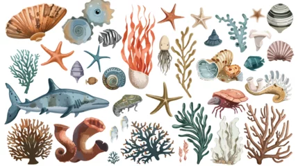 Deurstickers Underwater creatures and objects Colored vector set © Nobel