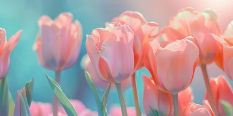 Wandcirkels aluminium Beautiful pink tulips in a field, perfect for springtime designs © Fotograf