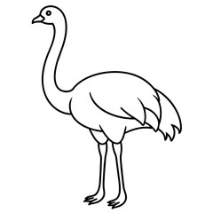 ostrich isolated mascot,ostrich silhouette,ostrich vector,icon,svg,characters,Holiday t shirt,black ostrich drawn trendy logo Vector illustration,ostrich line art on a white background