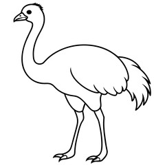 ostrich isolated mascot,ostrich silhouette,ostrich vector,icon,svg,characters,Holiday t shirt,black ostrich drawn trendy logo Vector illustration,ostrich line art on a white background