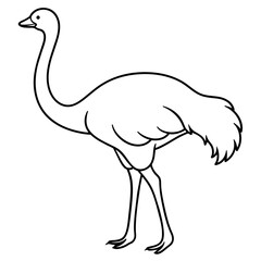 ostrich isolated mascot,ostrich silhouette,ostrich vector,icon,svg,characters,Holiday t shirt,black ostrich drawn trendy logo Vector illustration,ostrich line art on a white background