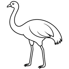 ostrich isolated mascot,ostrich silhouette,ostrich vector,icon,svg,characters,Holiday t shirt,black ostrich drawn trendy logo Vector illustration,ostrich line art on a white background