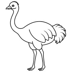 ostrich isolated mascot,ostrich silhouette,ostrich vector,icon,svg,characters,Holiday t shirt,black ostrich drawn trendy logo Vector illustration,ostrich line art on a white background