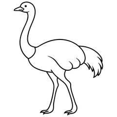 Obraz premium ostrich isolated mascot,ostrich silhouette,ostrich vector,icon,svg,characters,Holiday t shirt,black ostrich drawn trendy logo Vector illustration,ostrich line art on a white background