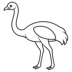 ostrich isolated mascot,ostrich silhouette,ostrich vector,icon,svg,characters,Holiday t shirt,black ostrich drawn trendy logo Vector illustration,ostrich line art on a white background
