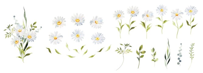 Watercolor Daisy floral illustration, Chamomile spring flowers clipart, Wildflower arrangement and summer wreath, Wedding invitations