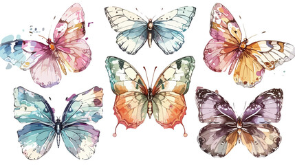 Hand drawn beautiful Butterflies. Colorful Vector illustration - obrazy, fototapety, plakaty