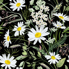 Seamless pattern with flowers - Chamomilla, Achillea Millefolium and grass isolated on the black background. Hand-drawn illustrations of wildflowers.