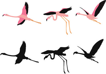 flamingos flying set on white background vector