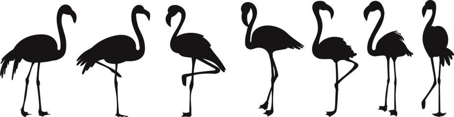 Obraz premium set of flamingos silhouette on white background vector