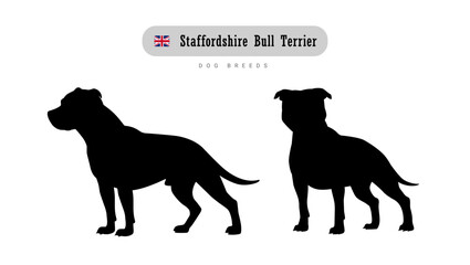 Dog breed Staffordshire Bull Terrier. Side and front view silhouettes isolated on white background.