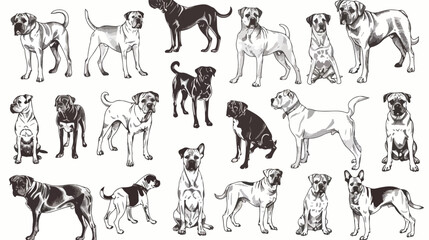 Dog breeds line art illustration sketch flat vector illustration - obrazy, fototapety, plakaty