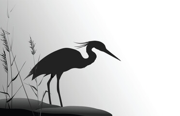 Obraz premium Heron in the thickets of reeds stands next to a group of stones. Silhouette vector illustration.