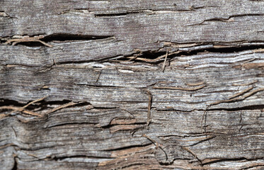 washed old wood background, wooden abstract texture