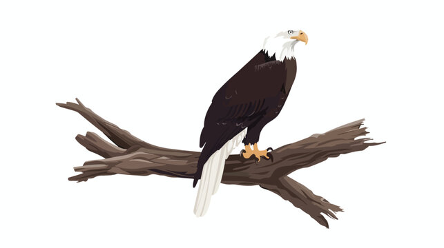 Eagle Ready And Alert For The Hunt flat vector isolated