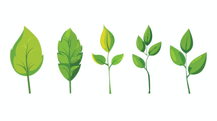 Ecology leaf plant nature icon vector illustration