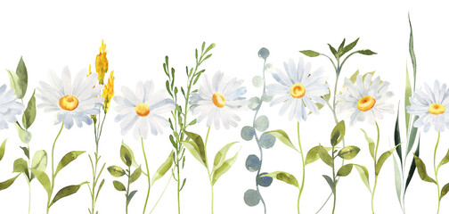 Watercolor Daisy floral seamless border illustration, Chamomile spring flowers clipart, Wildflower arrangement, Wedding invitations