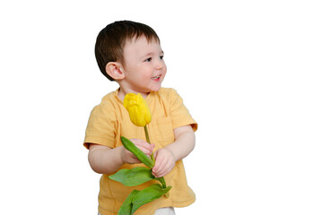 Happy toddler baby with tulip flower on studio, copy space, isolated on white background. Smiling child boy with yellow tulip, isolated on white background. Kid age one year eight months