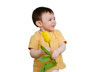 Happy toddler baby with tulip flower on studio, copy space, isolated on white background. Smiling child boy with yellow tulip, isolated on white background. Kid age one year eight months