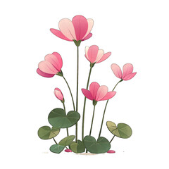 Minimalist Flat Vector Illustration of Cyclamen Flower on White Background - Simple and Cute Design with Transparent Cut Out PNG