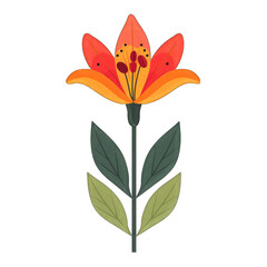Minimalistic Flat Design of a Flame Lily in a Cute Style - Transparent Cut-Out PNG Illustration on White Background