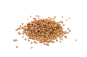 Coriander Seeds Isolated, Cilantro Grains, Chinese Parsley Seed Group, Dry Spices, Seasonings