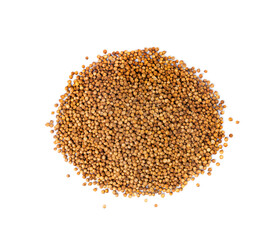 Coriander Seeds Isolated, Cilantro Grains, Chinese Parsley Seed Group, Dry Spices, Seasonings