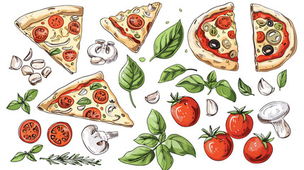 Hand drawn pizza slices and ingredients. Colored vector