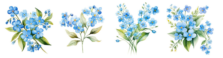 Watercolor forget me not flower clipart isolated on transparent background