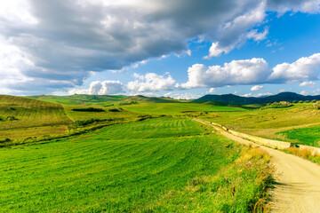 young spring field on hills of green rustic farmland with grass plants and garden. Countryside...