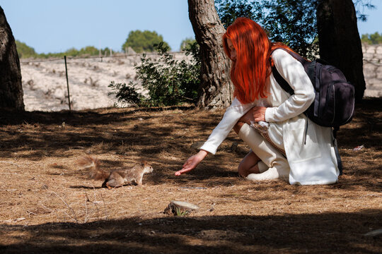Amable mujer pelirrojo da de comer a una ardilla roja, España