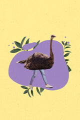 Sketch image composite trend artwork 3D photo collage of ingonito personage bodyless ostrich stand...