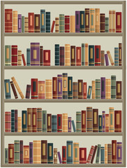 hand drawn bookshelf