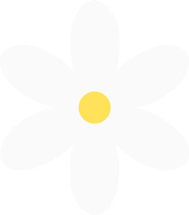 Daisy flower petal