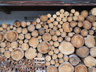 Woodpile: Cross Section of Tree Trunks Background
