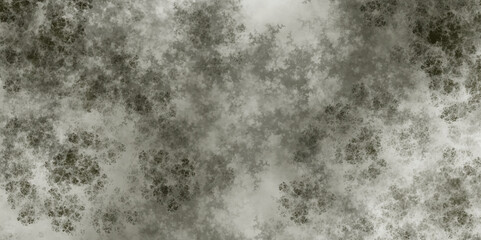 Fototapeta premium Luxury smoke overlay effect. Abstract smoke misty fog. Texture overlays. Design element. fog overlay effect. atmosphere overlay effect. Background with a paper texture. Black transparent smoke.