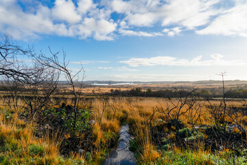 La magie des monts d'Arrée en Bretagne, où tourbières sauvages, landes mystérieuses et ruisseaux murmurent des histoires enchanteresses.