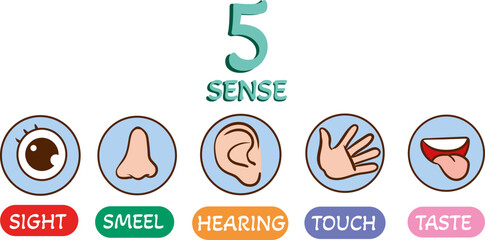 Vector illustration of little kids holding cards about 5 senses.Vector illustration of little children showing parts of the body