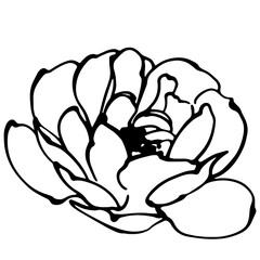 Line art flower