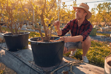 A male gardener with hat carefully examines the watering system of a plant, indicating the start of...